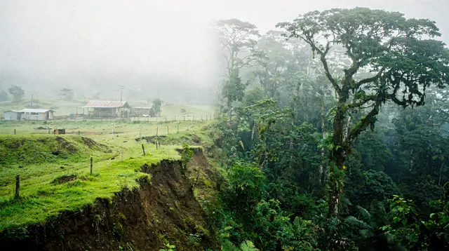 A Monteverde Day Trip from La Fortuna: What You Actually Get